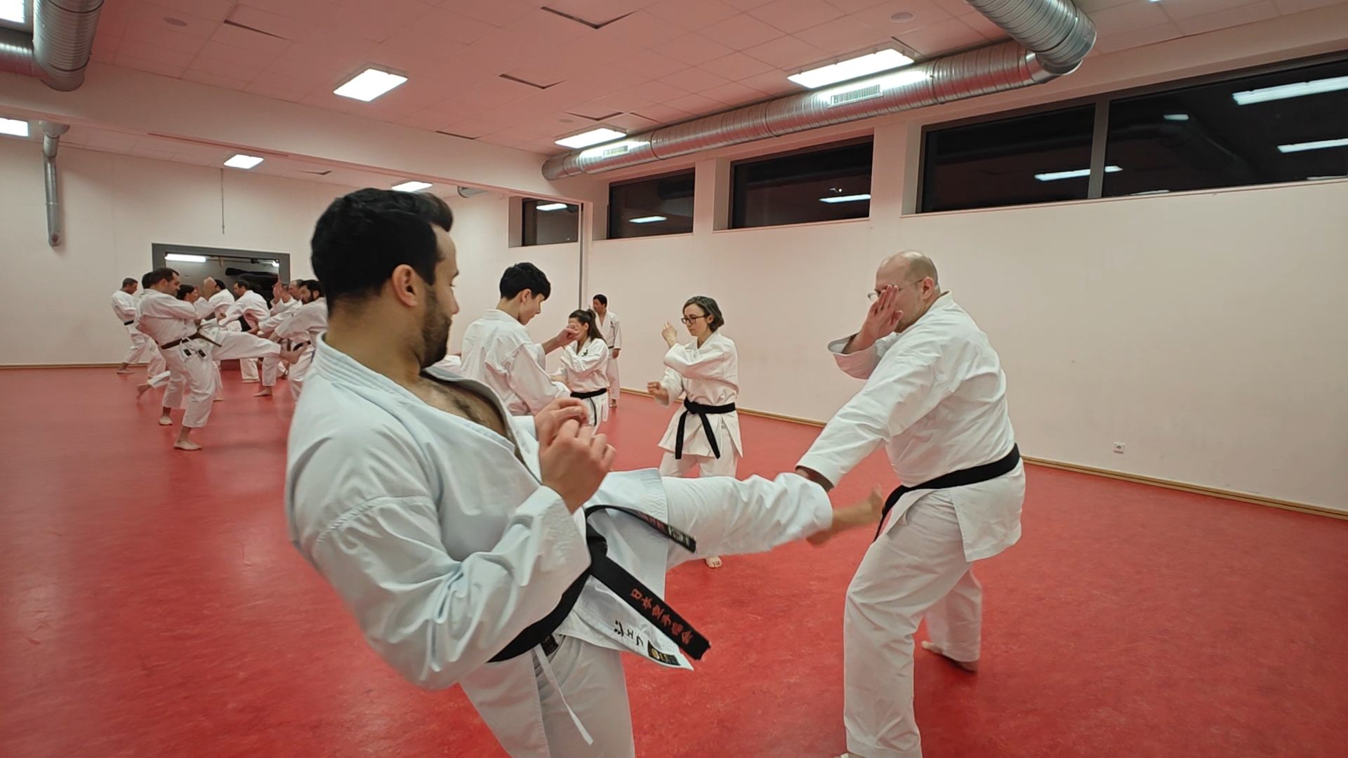 Training im Dojo Yamato Düsseldorf