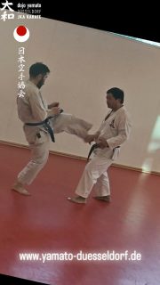 Training im Dojo Yamato Düsseldorf e.V.🥋