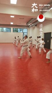 Training im Dojo Yamato Düsseldorf e.V.🥋
Trainer Keigo Shimizu 🇯🇵
#karate #training #fun #jka