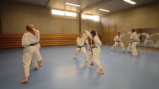 Training im Dojo Yamato Düsseldorf e.V.
