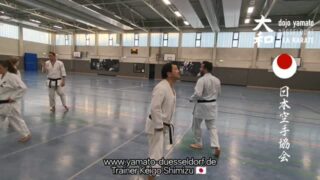 Kizamizuki series.
Tsuki means "spear" in English.
"Punch" is the wrong translation. Not only touching but shooting with the image "to spear"!
Oss! 👊