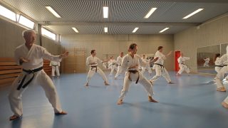 Training im Dojo Yamato Düsseldorf e.V.