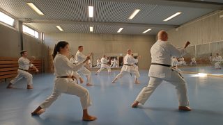 Training im Dojo Yamato Düsseldorf e.V.