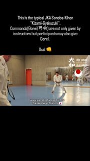 This is the typical JKA Sonoba-Kihon "Kizami-Gyakuzuki".
Commands(Gorei/号令) are not only given by instructors but participants may also give Gorei. 
Oss! 👊