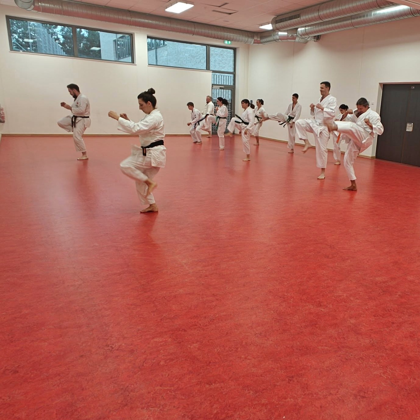 Training im Dojo Yamato Düsseldorf e.V.