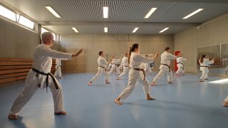 Training im Dojo Yamato Düsseldorf e.V.