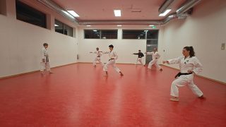 Training im Dojo Yamato Düsseldorf