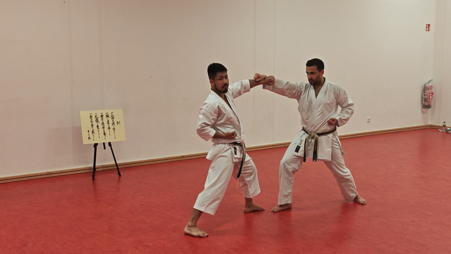 Rückblick Düsseldorf Special 2025