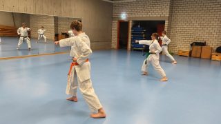 Training im Dojo Yamato Düsseldorf
Trainer Martin Hesse