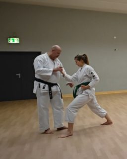 Training im Dojo Yamato Düsseldorf
Trainer Sven Wätzold-Kurihara