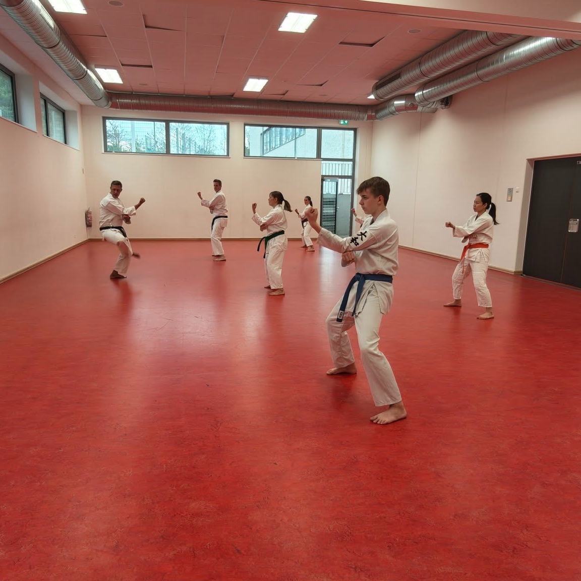 Training im Dojo Yamato Düsseldorf e.V.
Trainer Martin Hesse 🇩🇪