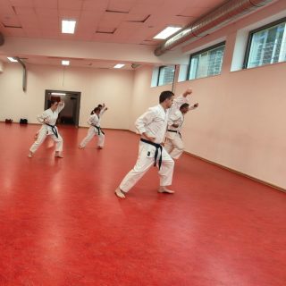 Training im Dojo Yamato Düsseldorf e.V.
Trainer Martin Hesse 🇩🇪