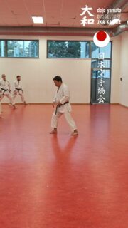Training im Dojo Yamato Düsseldorf e.V.🥋
Trainer Keigo Shimizu 🇯🇵

#karate #training #fun #jka #shotokan