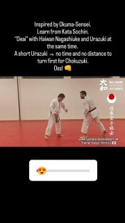 Inspired by Okuma-Sensei.
Learn from Kata Sochin.
"Deai" with Haiwan Nagashiuke and Urazuki at the same time. 
A short Urazuki ⇒ no time and no distance to turn first for Chokuzuki.

Oss! 👊