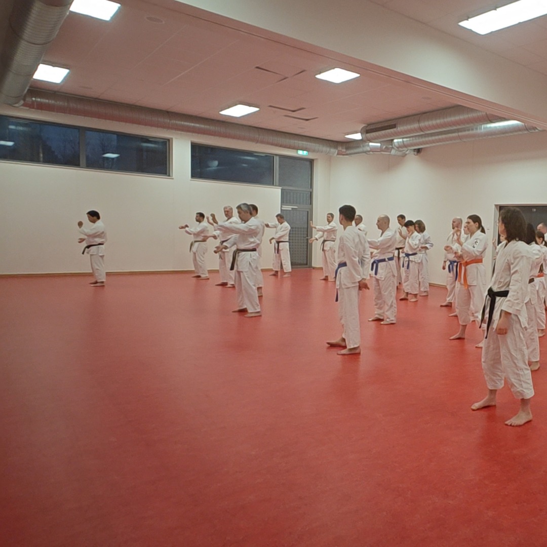 Rückblick Düsseldorf Special 2025