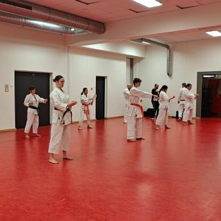 Training im Dojo Yamato Düsseldorf
Trainer Martin Hesse