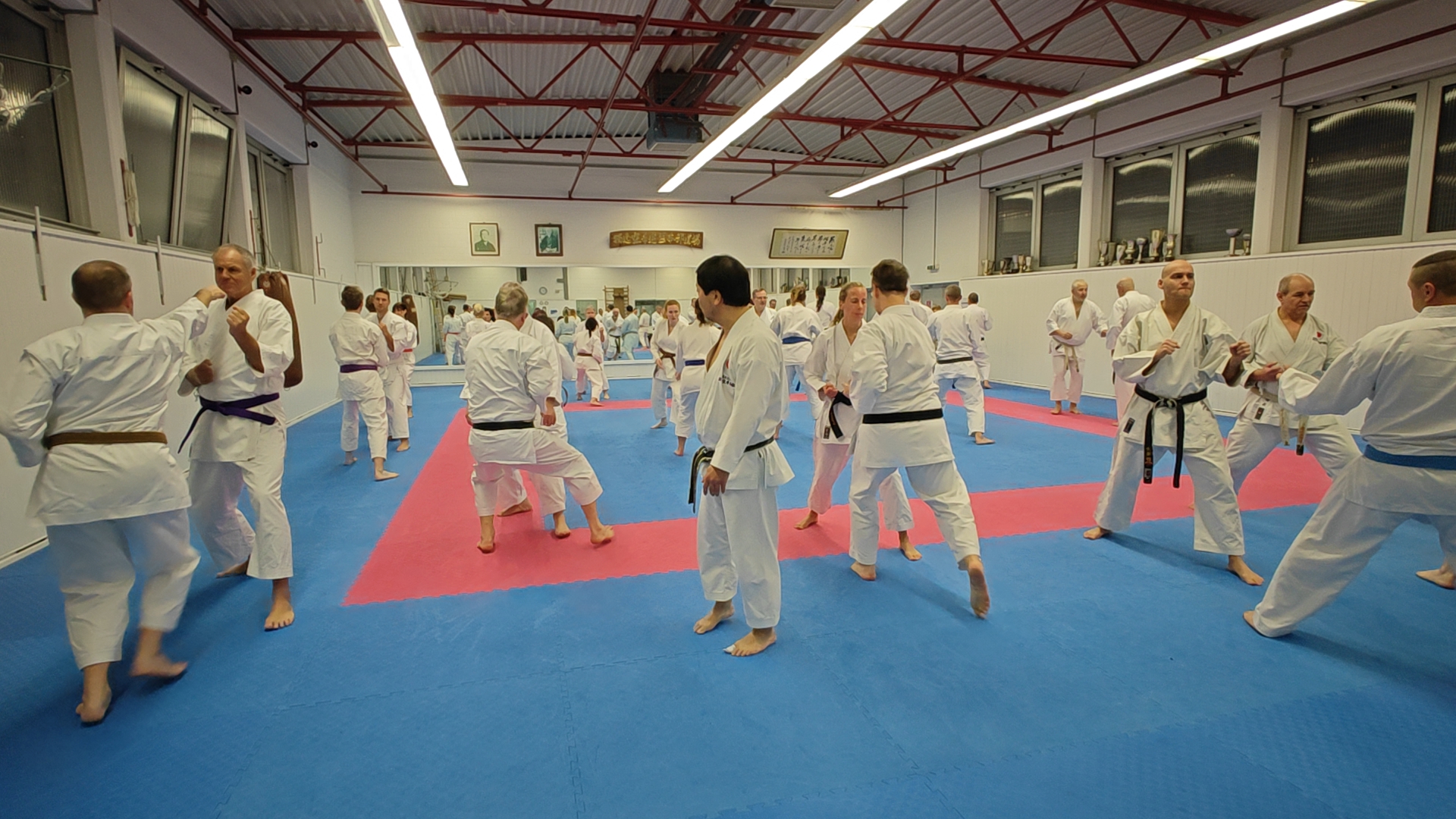 Dojo Yamato Düsseldorf in Bottrop
Trainer Keigo Shimizu 🇯🇵