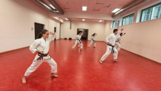 Training im Dojo Yamato Düsseldorf e.V.
Trainer Martin Hesse 🇩🇪